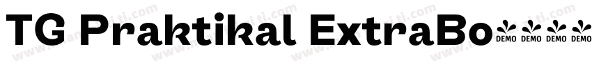 TG Praktikal ExtraBo字体转换